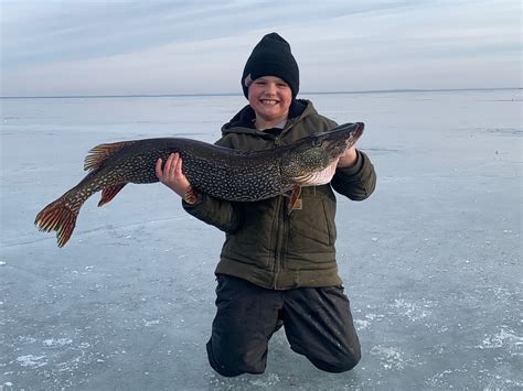 Muskie vs Pike: An Angler's Guide | Outdoor Life