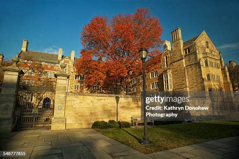 461 Yale University Colors Stock Photos, High-Res Pictures, and Images ...