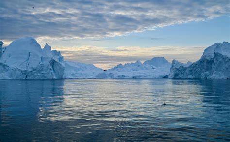 Ilulissat Icefjord Sailing | Albatros Arctic Circle