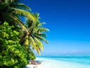 Tropical ocean wallpaper - Beach Wallpapers