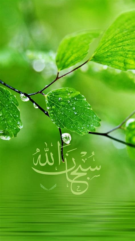 Subhanallah, leaves, HD phone wallpaper | Peakpx