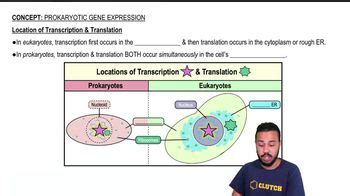 Monocistronic mRNA vs. Polycistronic mRNA | Channels for Pearson+