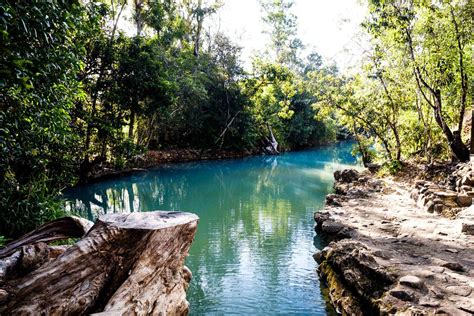 A Guide to the Beautiful Cardwell Spa Pools in Queensland, Australia ...