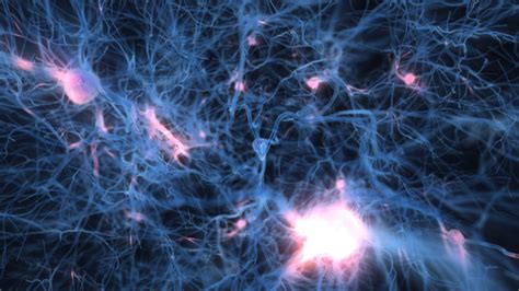 Neuron Wallpapers - Wallpaper Cave