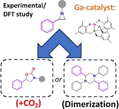 Ga‐Catalyzed Temperature‐Dependent Oxazolidinone/Piperazine Synthesis from Phenyl Aziridines ...