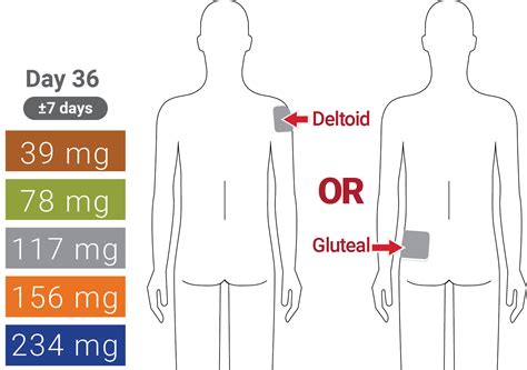 Invega Sustenna Weight Gain | Blog Dandk