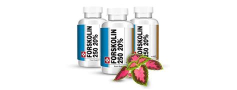 Forskolin 250: Weight Loss Benefits, Uses, Side Effects