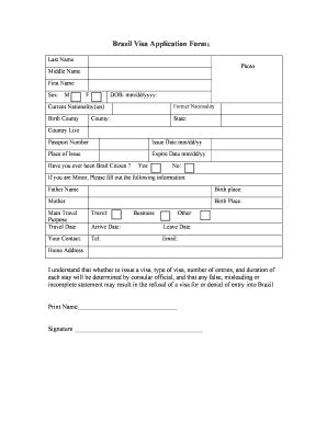 Brazil Visa Application Form - Bcvisa - Fill and Sign Printable Template Online