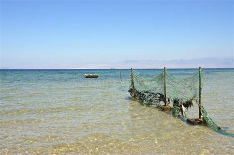 Sinai beach. stock image. Image of summer, seaside, mesh - 19479485