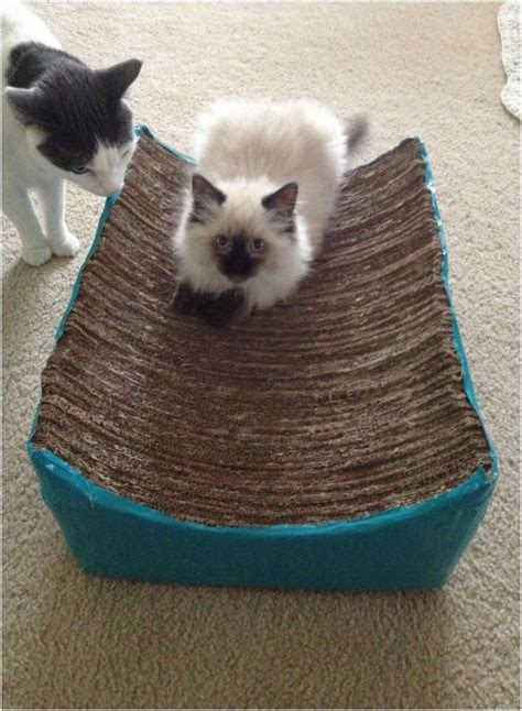 Top 10 DIY Cat Scratching Posts and Pads | Diy cat scratching post, Cat diy, Diy cat scratcher