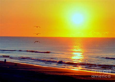 Good Morning Sunshine Photograph by Lydia Holly - Fine Art America