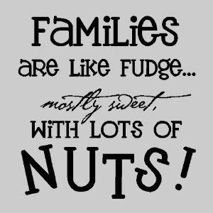 Funny Family Photo Quotes - ShortQuotes.cc