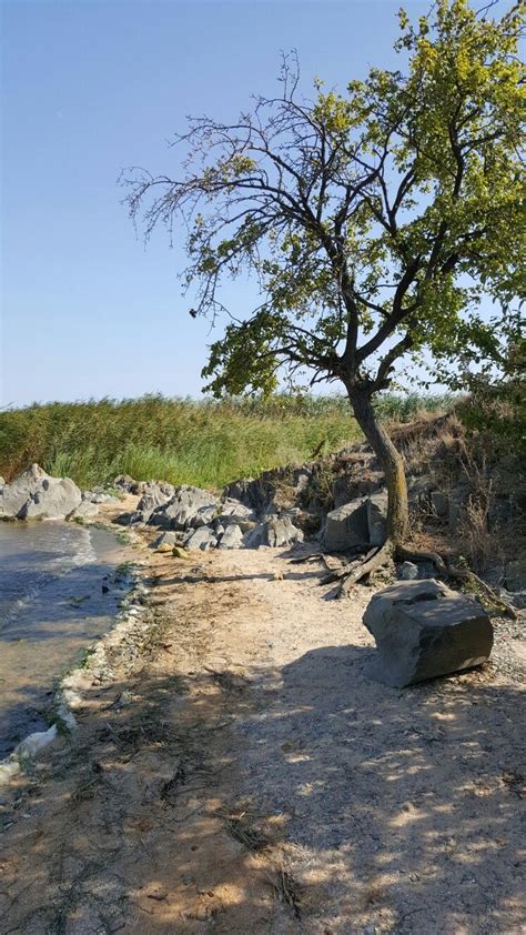 Lacul Sinoe Constanta, Romania, River, Outdoor, Outdoors, Outdoor Games, The Great Outdoors, Rivers