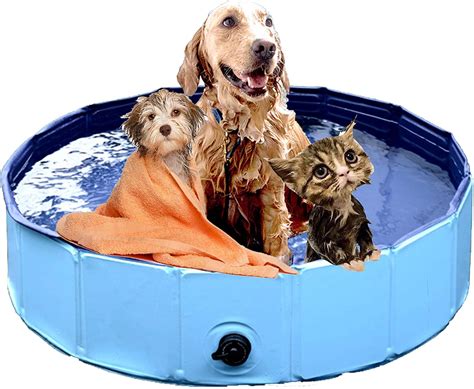 Best Dog Bath Tub [2022] Portable Pet Wash Tubs Buying Guide [Review]