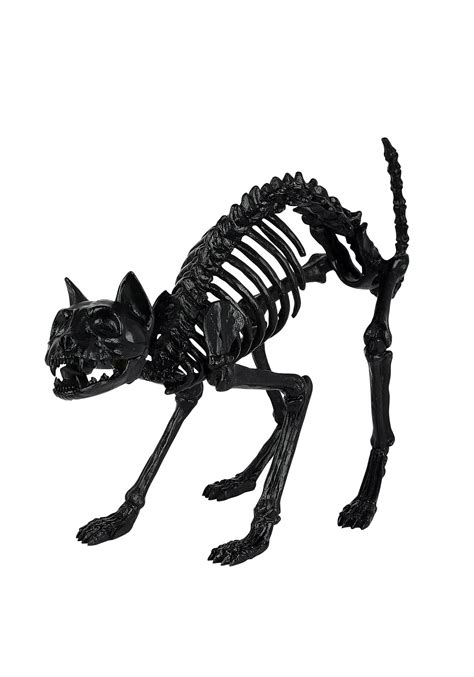 Black Skeleton Cat Prop