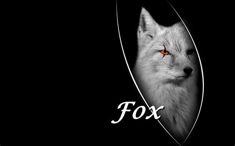 Fox is Black Wallpaper - WallpaperSafari