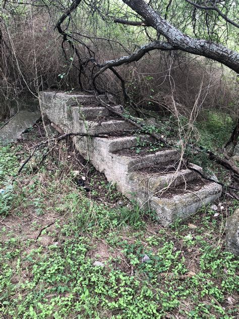 I found a staircase in the woods : r/mildlyinteresting