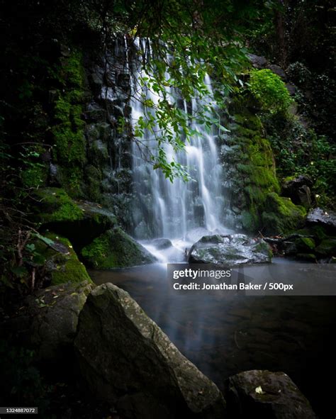 Scenic View Of Waterfall In Forestbushy Park Waterfallireland High-Res Stock Photo - Getty Images