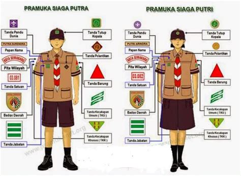 Jenis Jenis Seragam Pramuka Serta Fungsinya Dan Perlengkapannnya | My ...