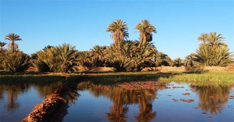 Visit Tafilalet Oasis - Heritage and Nature in Morocco - Visit Tafilalet