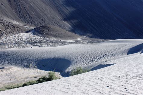 Life in White sand cold desert-Ladakh: Debabrata Dasgupta: Galleries: Digital Photography Review ...