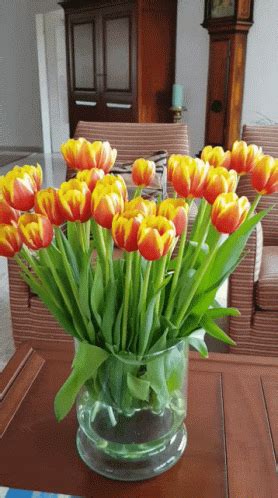 Tulip Tulp GIF - Tulip Tulp Holland - Discover & Share GIFs