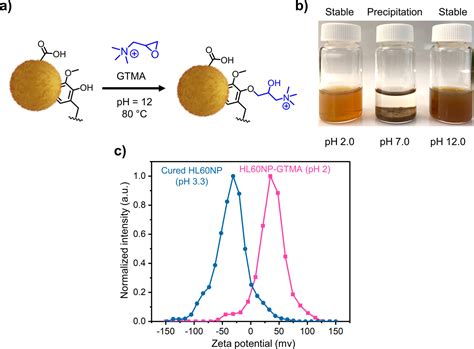 Stabilized Lignin Nanoparticles for Versatile Hybrid and Functional ...