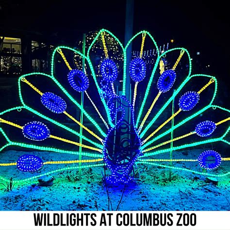 Wildlights at Columbus Zoo - Visit Ohio Today