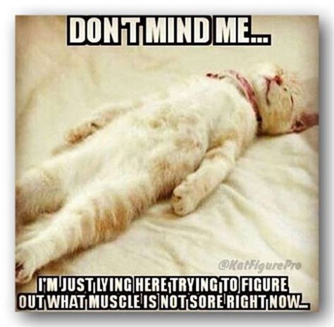 how I feel after the holidays. :/ | Workout humor, Funny gym quotes, Workout memes