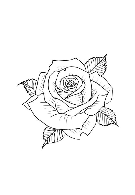 Pin on Dessin tatouage | Rose drawing tattoo, Tattoo design book, Rose ...