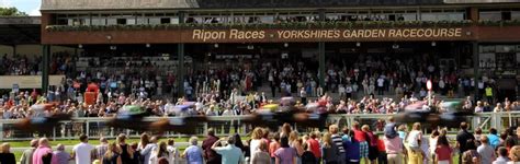 Private Boxes Ripon Racecourse | Racecourse Hospitality