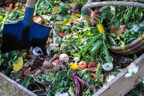 Master Direct Composting: Eco-Friendly Waste Disposal for Gardens