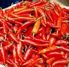 Byadgi chilli | Recipes Wiki | Fandom