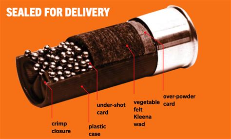 Shotgun loads explained - hostingasl