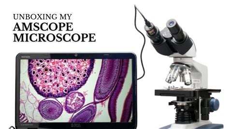 Unboxing my Amscope B120C Microscope 🔬 | Review - YouTube