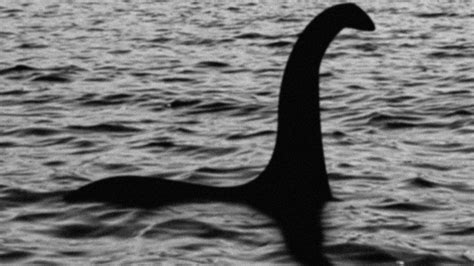 Loch Ness Monster: 'Plausible theory' for Nessie - BBC News