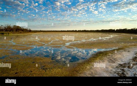 High angle of a shallow billabong in the Sunraysia region of Victoria, Australia. As the ...