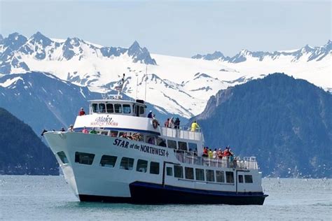 Kenai Fjords Wildlife Cruise with Optional Buffet Lunch provided by ...