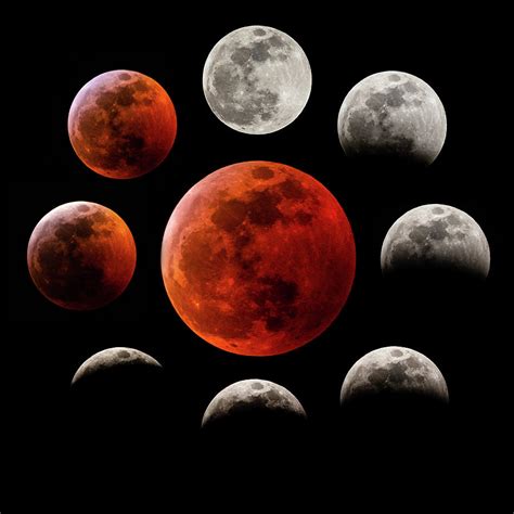 Super Blood Wolf Moon Eclipse Photograph by Gary Kochel - Fine Art America