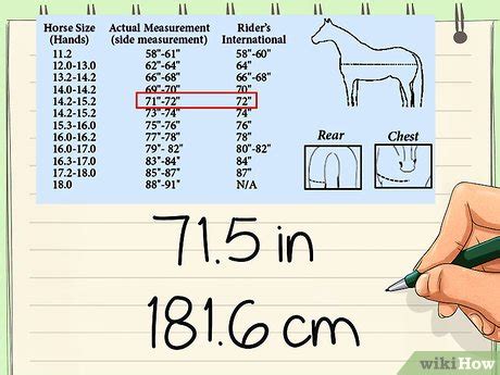 4 Ways to Measure for a Horse Blanket - wikiHow