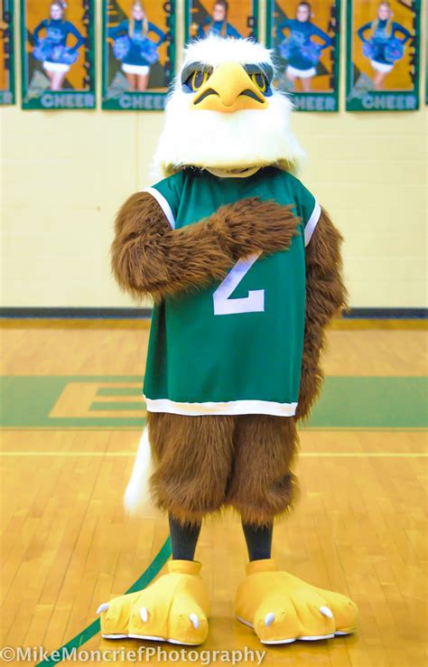 Zionsville Eagle Mascot | The Zionsville High School Eagle M… | Flickr