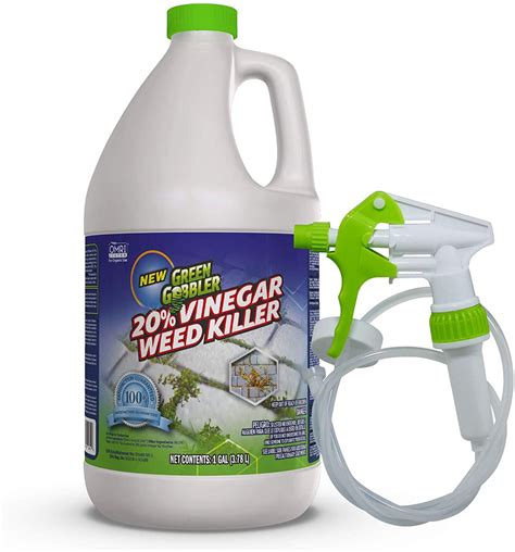 Green Gobbler 20% Vinegar Weed & Grass Killer ,1 Gallon Spray | BIGBIGMART