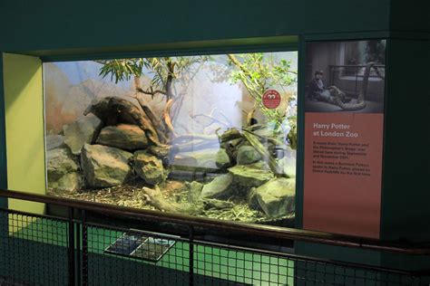 London Zoo 11-03-2013 | Reptile House A scene from Harry Pot… | Flickr