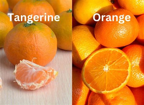 Tangerine vs Orange: What's the Difference? - The Instant Pot Table