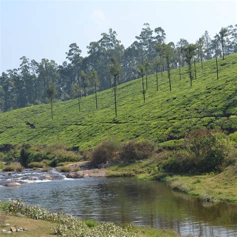 KOOLANGAL RIVER (Valparai): All You Need to Know