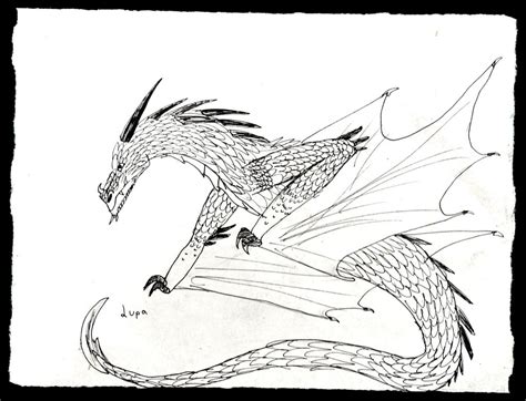 Dragon doodle by LupaWolfe on DeviantArt