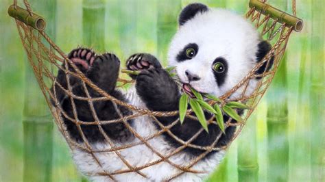 🔥 [48+] Panda Wallpapers for Desktop | WallpaperSafari