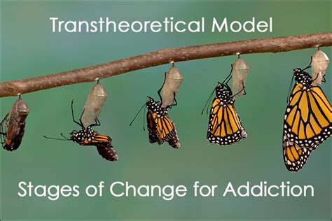 Transtheoretical Model Stages of Change for Addiction