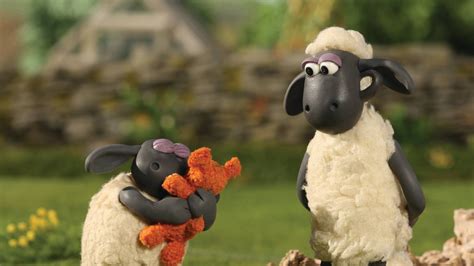 Timmy loves his teddy! Sheep Cartoon, Cartoon Wall, Funny Animal Quotes ...