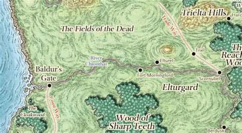 Location in Faerun? - Larian Studios forums